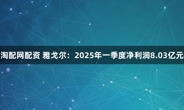 淘配网配资 雅戈尔：2025年一季度净利润8.03亿元
