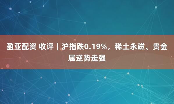 盈亚配资 收评｜沪指跌0.19%，稀土永磁、贵金属逆势走强