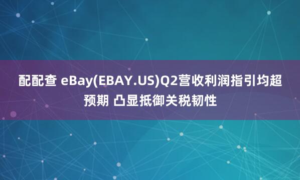 配配查 eBay(EBAY.US)Q2营收利润指引均超预期 凸显抵御关税韧性